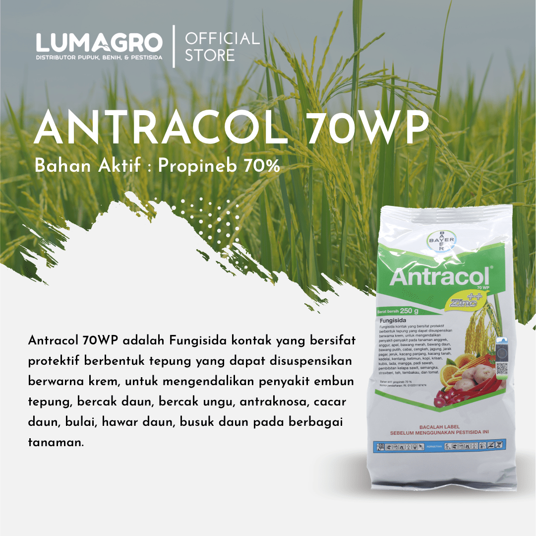 Fungisida Antracol 70 WP 1kg Propineb Lumagro